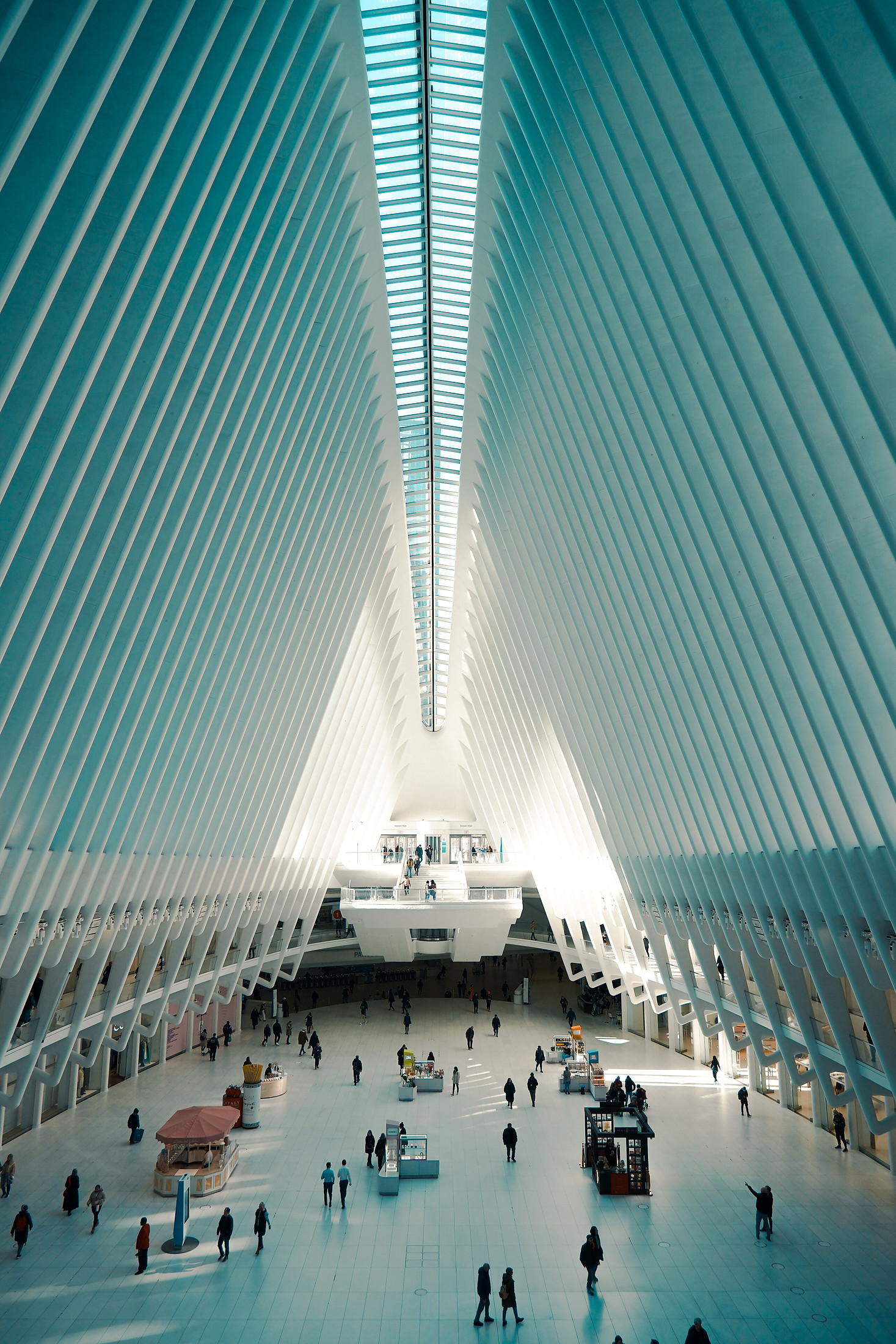 Inside the Oculus, white ribs opening to the skylight